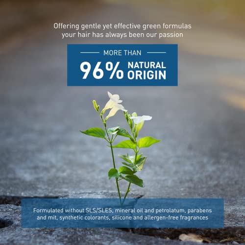 INSIGHT Clean Beauty Daily Use Energizing Shampoo for Soft & Shiny Hair, Vegan, 13.5 fl oz