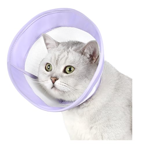 [AOKOWN]GUxXJ[  Lp y \tg rߖh~ pPA ʋC _炩 p ~h~