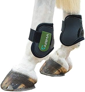 Shires Arma Fetlock Boots Black/Green Cob/Full