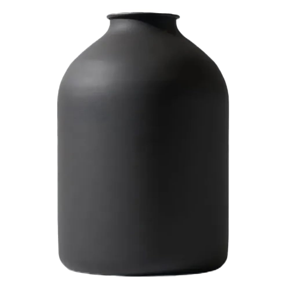 CTRLZS Wrought Iron Matte Matte Vase, High-Grade Home Decoration for Flower Arrangement, Hotel Decorative Flowerpot A