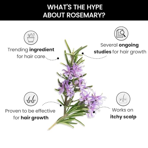 ThriveCo Rosemary Essential Oil For Hair Growth & Hair Fall Control|Reduces Hair Breakage & Improves Scalp Health|100% Pure, Certified Organic & Natural|With Vitamin E|For Men & Women|15Ml (Pack Of 2)