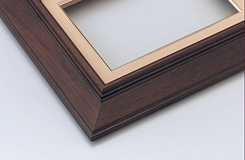 ���G�p �z�� �u���E�� 8��F KL-02 ��m�ސ�