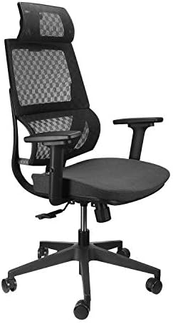 Argomax Mesh Office Chair, Ergonomics Mesh Chair Computer High Back Chair w/ 360 Swivel Self Adjustable Headrest and 3D Armrest