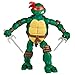 Teenage Mutant Ninja Turtles Raph & Hopper