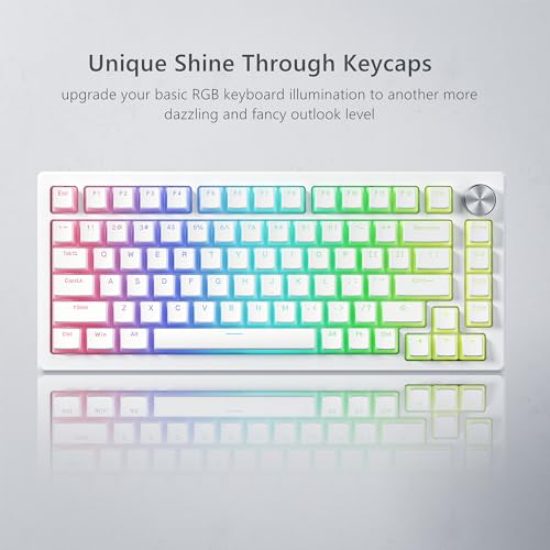 Image of Womier Shine Through PBT Keycaps, Pudding White Keyboard Keycaps | OEM Profile Custom Keycaps 75 Percent 129-key Set for 60% 65% 75% 100% Cherry Gateron MX Mechanical Keyboard-White