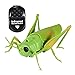SM SunniMix Réaliste RC Grasshopper Jouet Nouveauté Jouets Party Favors pour Adultes Enfants Âgés de 6 Ans et Plus Cadeau