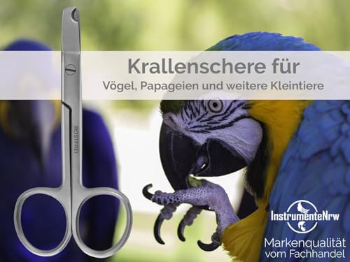 Krallenschere Wellensittiche Krallenzange Vögel gerader Krallenschneider 9,5 cm - Krallen kürzen von Papageien Sittiche Kleintiere - Rostfreier Edelstahl - Markenqualität vom Fachhandel