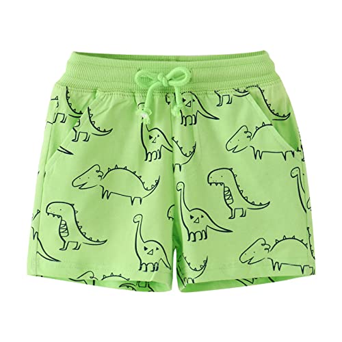 Toddler Girls Boys Kids Sport Cartoon Dinosaur Prints Casual Shorts Fashion Beach Cargo Pants Boys Quick Dry