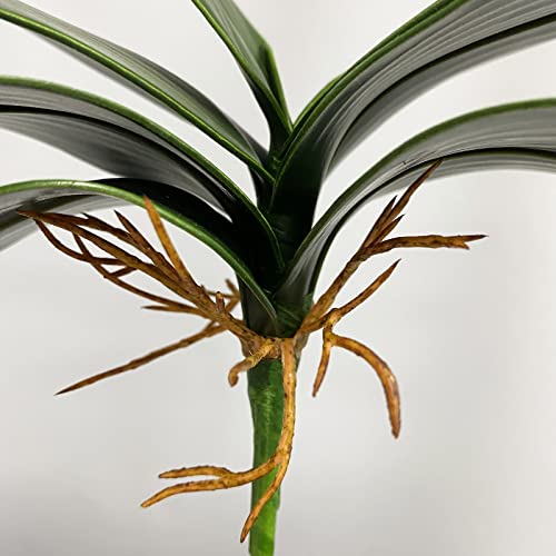 Zooeyroose Artificial Phalaenopsis Leaves Simulation Faux Moth Orchids Leaves Real Latex Touch Cymbidium Stems Green Plant For Home Outdoor And Indoor Flowers Arrangement Garden Pot Decoration 2Pcs #TOP7