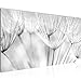 Produktbild Wandbild Pusteblume 1 Teilig Modern Bild auf Vlies Leinwand Wohnzimmer Flur Natur Schwarz Weiss 209812c