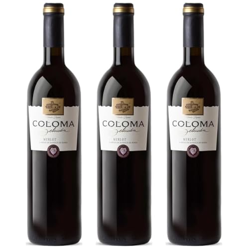 Coloma Selección Merlot, vino tinto joven con crianza en roble que destaca por su suavidad, equilibrio y la expresión sedosa de la variedad Merlot | 3 botellas