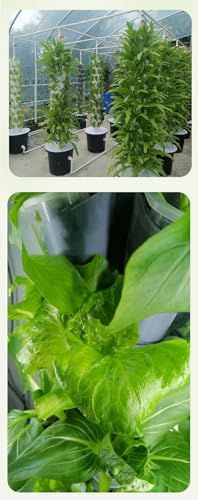 Kit de sistema de cultivo hidropónico, kit de cultivo de hierbas para interiores y hortalizas para jardineros principiantes