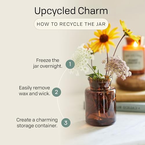 Paddywax Soy Wax Blend Candle in Glass Jar, Chromium, Amber & Smoke, Medium, 8 Ounce