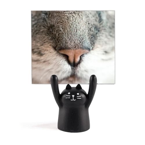 ̒n̎ʐ^摜 J[gD[LX^h^z_[