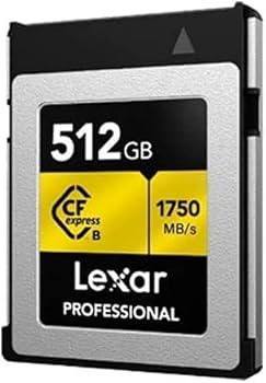 その他 Lexar Professional CFexpress TypeB 512GB Amazon.co.jp: Lexar Professional CFexpress™ Type B (512GB