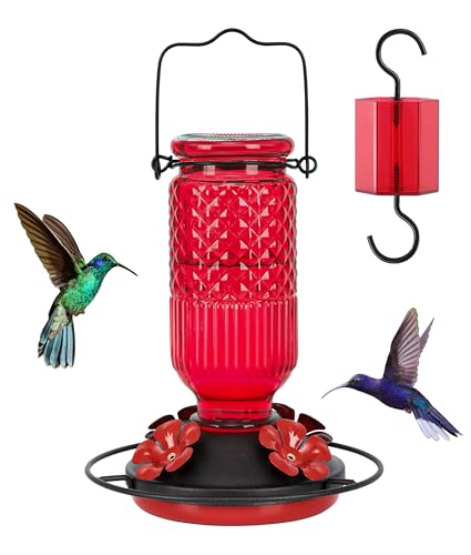 FEED GARDEN Glass Hummingbird Feeder...