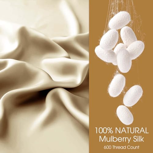 Image of 100% Silk Pillowcase for Hair and Skin Toddler Size 2 Pack Mulberry Silk Pillow Case 13 x 18 Inches Highest 6A Silk Kids /Travel Pillow Cover Soft Breathable Cooling with Hidden Zipper, Champagne