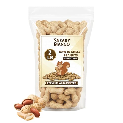 Sneaky Mango Raw Peanuts in Shell -...
