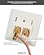 tsnetworks 4X Bananenstecker Lautsprecher Anschlussdose mit Polklemme Keystone Modul vergoldet rot/schwarz, High End Anschlussterminal mit Bananenstecker Buchse für Lautsprecherkabel bis 4 mm²