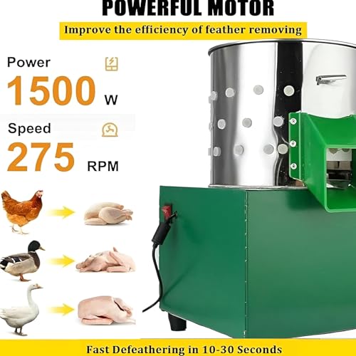 Machine automatique à plumer les volailles dinde poulet canard
