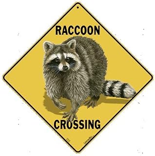 CROSSWALKS Raccoon Crossing 12" X 12" Aluminum Sign (X426)