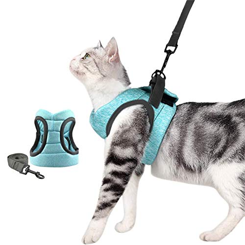 Lpn[lX  S L[h ybgpx[VbN s⏕ h~ Eh~ y50 g(M,݂ǂ)