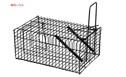 角型ハウ 角型ハウ 角型.ハウ 角型. ハウ 角型