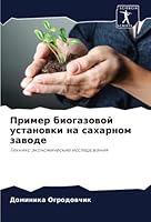 Пример биогазовой устан& 6205352087 Book Cover