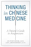 Thinking In Chinese Medicine: A Patient's Guide to Acupuncture