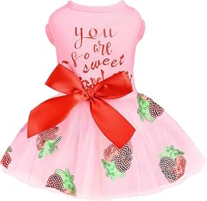 Yikeyo Erdbeer-Tüll Hundekleid L Rosa
