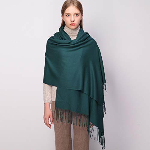 RIIQIICHY Women's Scarf Pashmina Shawls and Wraps for Evening Dress Bridesmaid Wedding Bridal Winter Warm Long Large Scarves - Image 6
