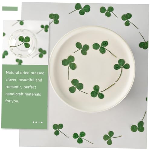 24 hojas secas de trébol prensado natural para manualidades miniatura 4