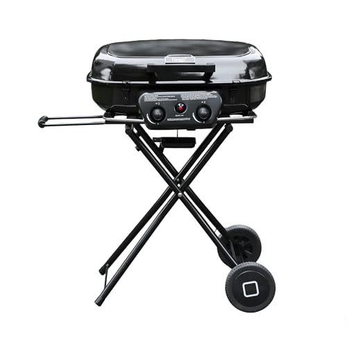 Flintex Portable 2-Burner Propane Grill with Griddle