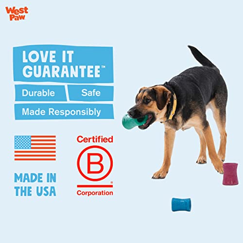 Jouet pour chien destructeur WEST PAW Funnl interactif à remplir