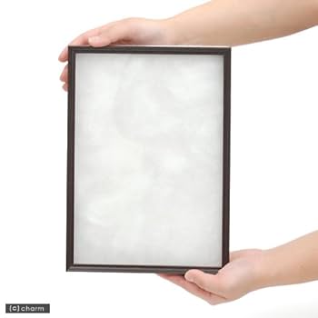 Amazon.co.jp: シーラ箱 スリム 昆虫 標本用品 標本箱 : おもちゃ