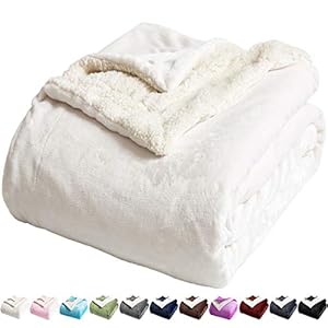 LBRO2M Sherpa Fleece Bed Blanket Queen Size Super Soft Fuzzy Plush Warm Cozy Fluffy Microfiber Couch Throw Double…