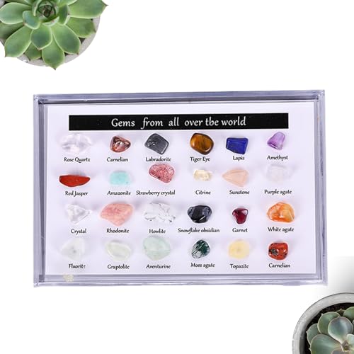 Vitrina de roca, dividida transparente con 24...