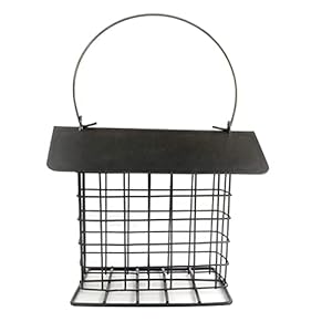 Outdoor Wild Bird Feeder Metal Opknoping Vogelvoederhuis Washable Zwart Small Regendicht Eekhoorn-proof Single Suet Cake…