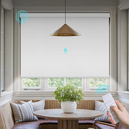 Motorized Blinds with Remote: Canisteo Battery Powered Control Electric Smart Roller Blinds Shades with Remote for Windows Cordless 100% Blackout, White, 45