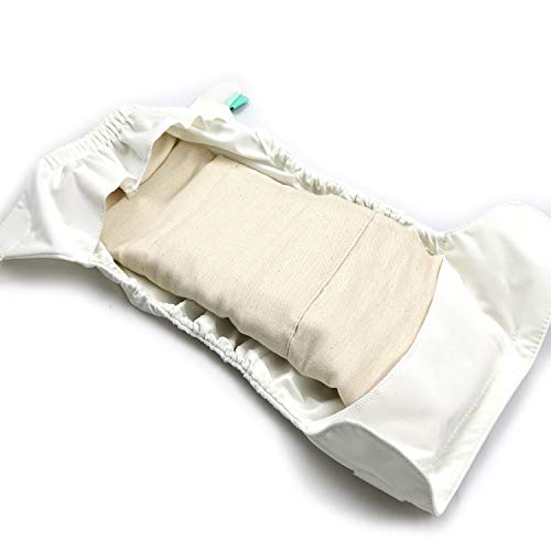 Avo + cado Cotone biologico Prefolds, taglia 3