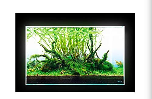 ADA LIGHT SCREEN W60×H36cm ADA Light Screen 60 Type C Plug (W60xH36cm): Buy Online at Best