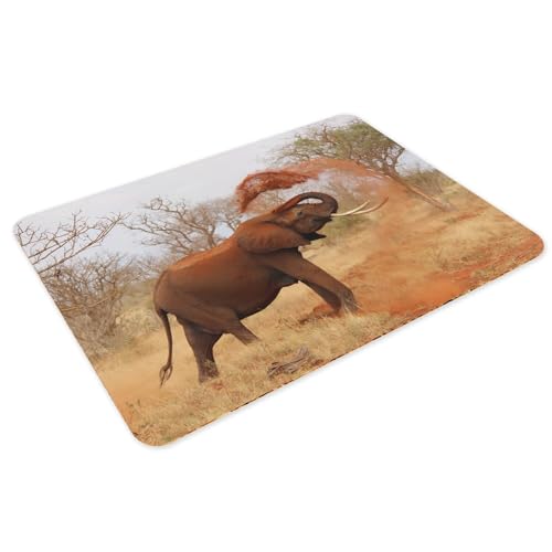 Sets de table éléphant en liège grand format 4 napperons savane de 39,5x28,5 cm