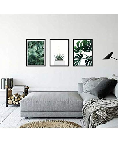 Charming House Design Set Of 3 Botanical Prints Monstera Leafs Pictures Black Frame FRAMED Botanical Plant Cactus Poster Print + Frame - Image 3