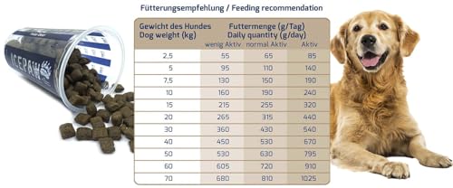 ICEPAW I High Premium I Trockenfutter Lamm und Reis 14 kg I Für futtersensible Hunde…