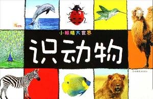 Paperback identify animals (paperback) [Chinese] Book
