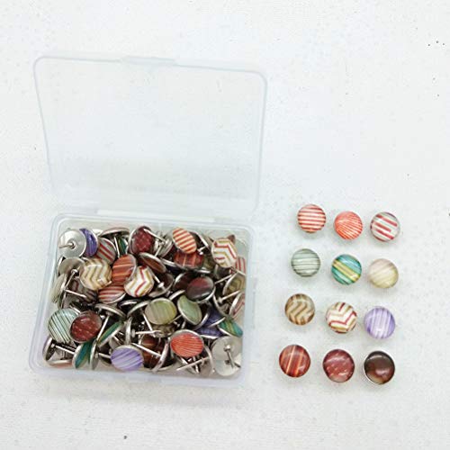 Liobo 60 peças 10 mm Pinos redondos decorativos Epóxi Pinos de empurrar para mapas de parede Fotos Q