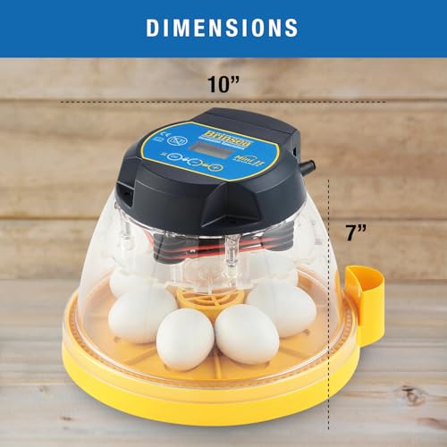 Brinsea Products Mini II Advance Automatic 7 Egg Incubator, One Size