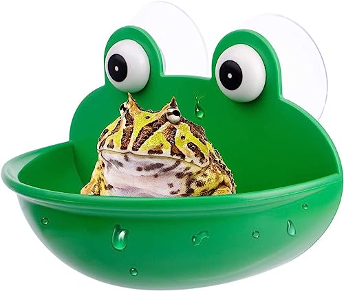 YukaBa Amphibian Aquatic Frog Habitat, Cute Fish Tank Decoration, Suitable for...