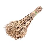El trigo de oro es un símbolo de buena cosecha y la riqueza. Tiene una excelente significado