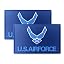 Air Force Wings